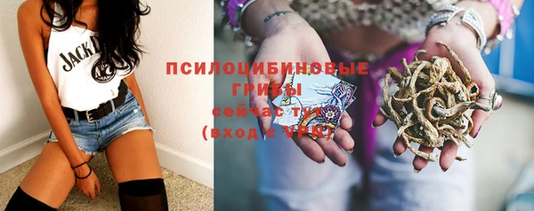 ALPHA-PVP Дмитриев