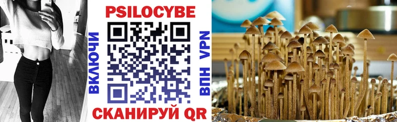 Псилоцибиновые грибы Magic Shrooms  купить   Славянск-на-Кубани 