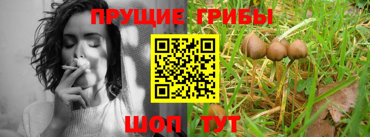 где купить   Вход с VPN  Славянск-на-Кубани  Галлюциногенные грибы мухоморы 