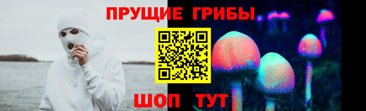Галлюциногенные грибы Cubensis Славянск-на-Кубани